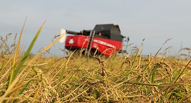 Tarımsal üretimde "sözleşmeli üretim yönetim sistemi"