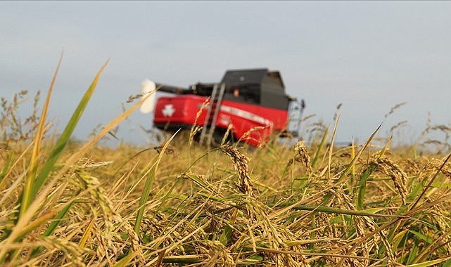 Tarımsal üretimde "sözleşmeli üretim yönetim sistemi"