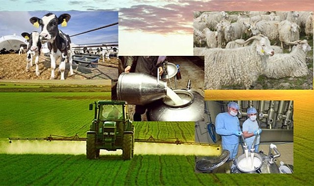 Yeni tarım destekleri Resmi Gazete&#039;de