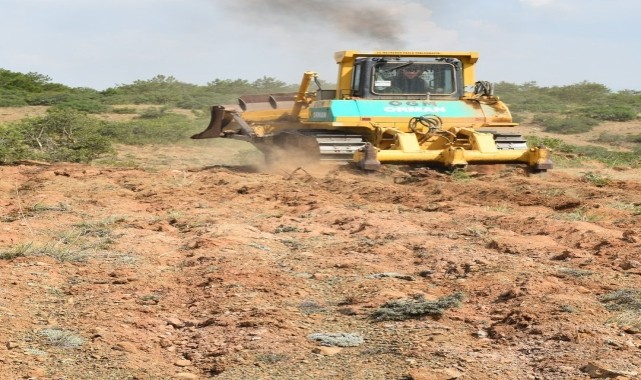 Alpu'da 14 yılda 500 hektar alan ağaçlandırıldı