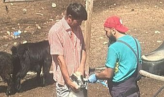 Aşılama çalışmaları devam ediyor