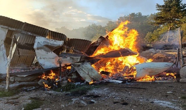 Beypazarı&#039;nda ağılda çıkan yangın ormanlık alana sıçramadan söndürüldü