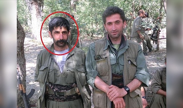 Bir leş daha aldık