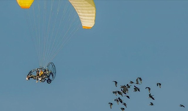 Birlikte uçtuğu kelaynaklara göç rotasını öğretiyor