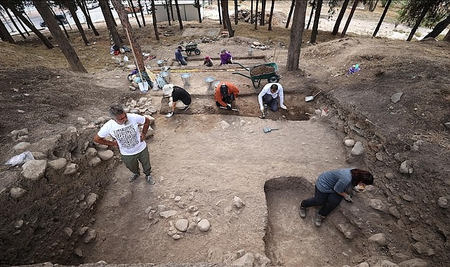 Bu buğdaylar 9 bin yıllık