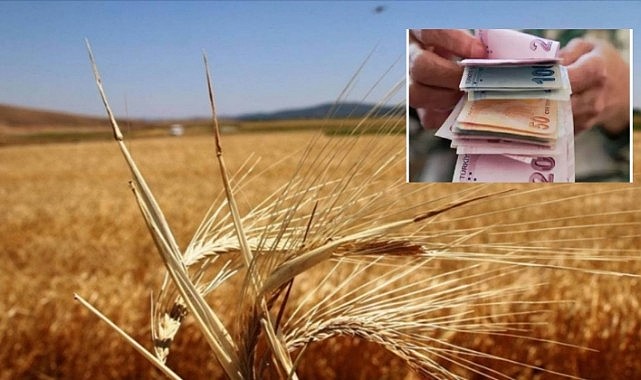 Çiftçilere 406,6  milyon liralık tarımsal destekleme ödemesi yapıldı
