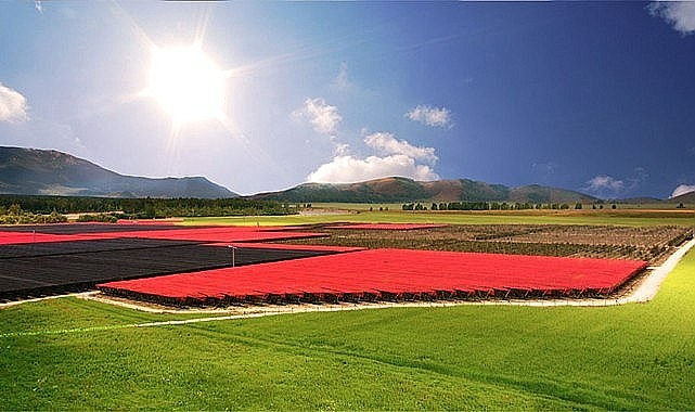 Festival için geri sayım başladı - Son 5 gün