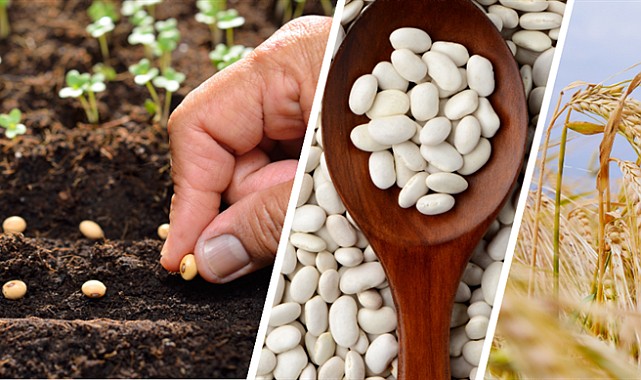 Karaman&#039;a rekor destek