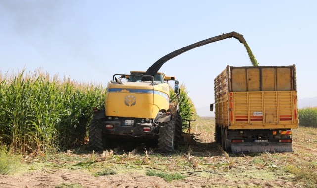 Niğde Ömer Halisdemir Üniversitesinde mısır hasadı başladı