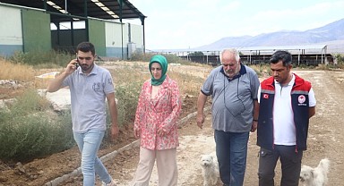 Ünsaylar Tarım gözü zirveye dikti