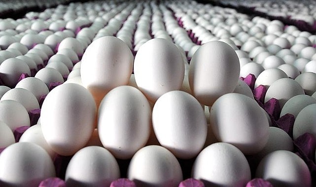 Yumurtada düzenlemesiyle israfın önüne geçilecek