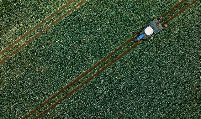  211 projeye 1,9 milyar lira hibe sağlanacak