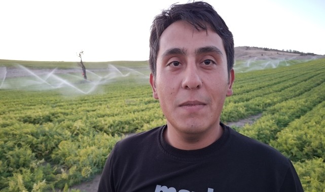 Beypazarı&#039;nda kışlık havuç tarlalarında sulama yapılıyor