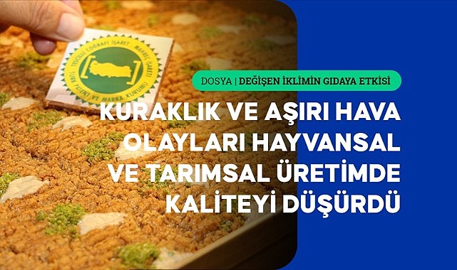 İklim değişikliği coğrafi işaretli ürünlerin geleceğini tehdit ediyor