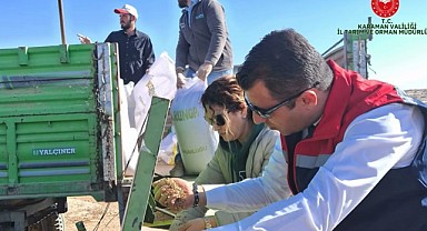 Karaman'da meralar eski haline dönüyor