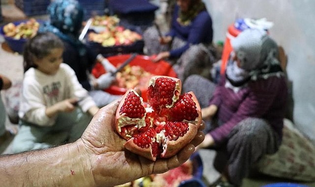 Karaman&#039;da narın yolculuğu başladı