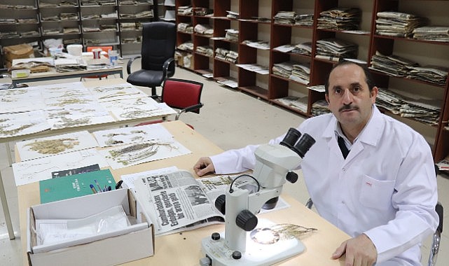 Karaman&#039;da yeni bitki türü keşfedildi