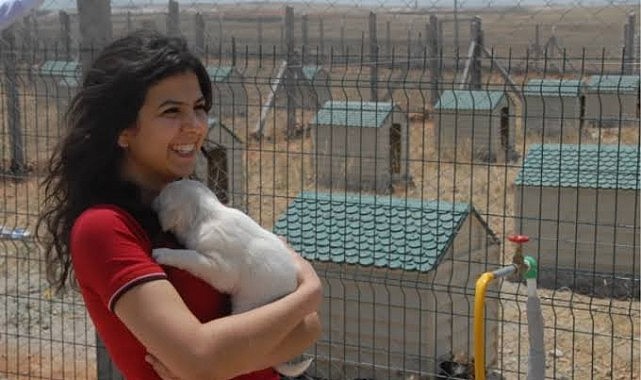 Karaman&#039;daki sokak hayvanları için işbirliği çağrısı yaptı