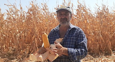 Karamanlı çiftçilere ceza