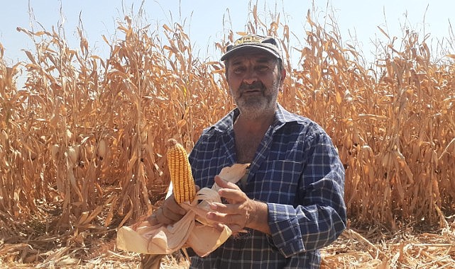 Karamanlı çiftçilere ceza