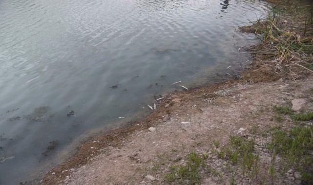 Kırıkkale&#039;de göletteki balık ölümlerinin oksijen eksikliğinden kaynaklandığı belirlendi