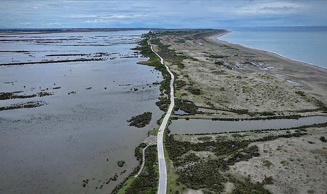 Kuş Cenneti&#039;ni yeniden canlandı