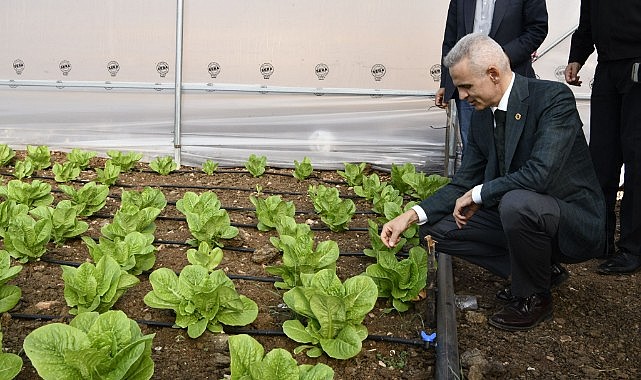 Vali Çiçekli tarım için sahada