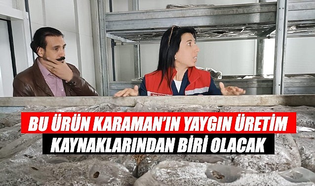 Bu ürün Karaman&#039;ın yaygın üretim kaynaklarından biri olacak