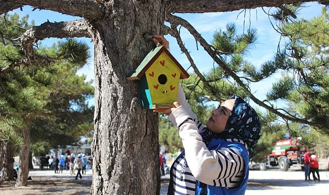 Gençlerden kuşlar için renkli dokunuş
