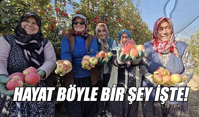 Hayat böyle bir şey işte