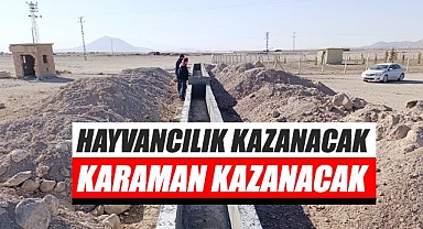 Hayvancılık kazanacak Karaman kazanacak