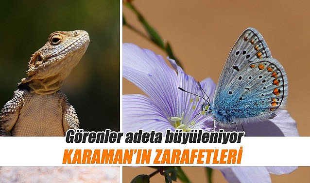 İşte Karaman doğasındaki 2 zarafet