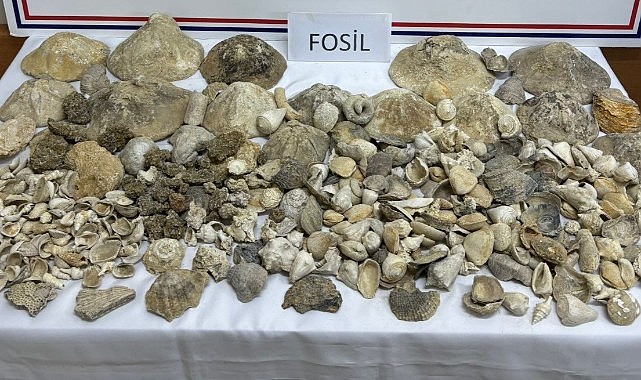 Karaman&#039;daki fosil satışına jandarmadan darbe