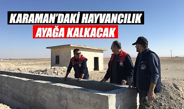 Karaman&#039;daki hayvancılık ayağa kalkacak