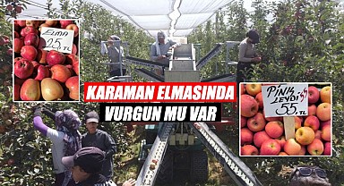 Karaman elmasında vurgun mu var