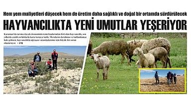 Karaman hayvancılığında yeni umutlar yeşeriyor