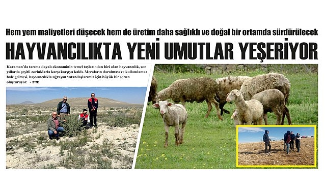 Karaman hayvancılığında yeni umutlar yeşeriyor