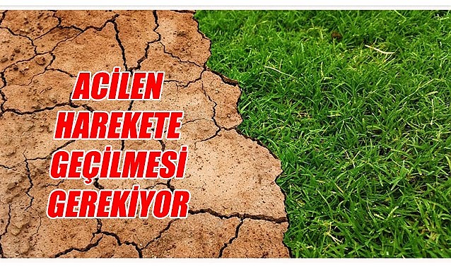 Acilen harekete geçilmesi gerekiyor