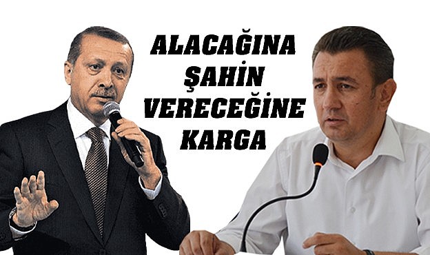 Alacağına şahin vereceğine karga