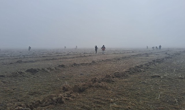 Tuz çalısı Karaman topraklarıyla buluştu