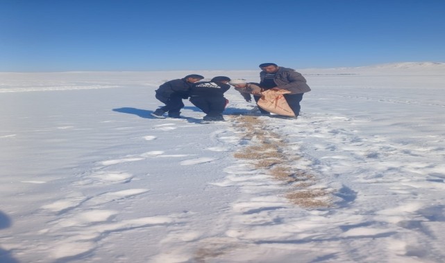 Ulaş'ta yaban hayvanları için doğaya yem bırakıldı