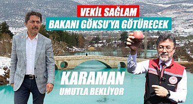 Vekil Sağlam bakanı Göksu'ya götürecek