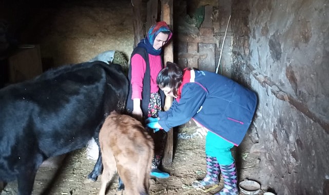 Karaman&#039;da çalışmalar sürüyor