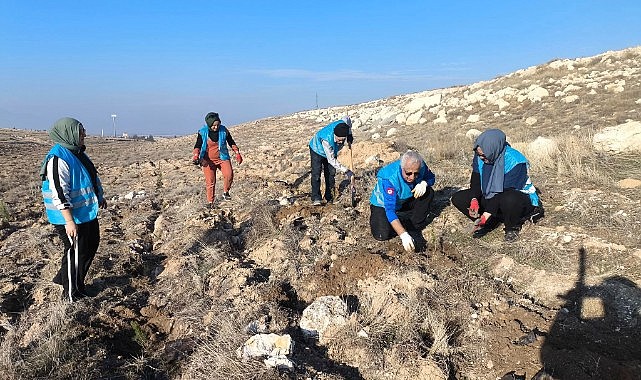 Karaman&#039;da yeni umutlar yeşeriyor
