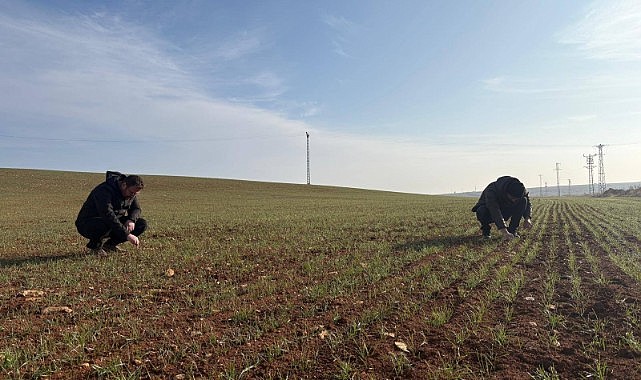 Karaman&#039;daki üreticiler destekleniyor