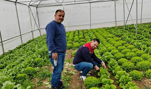Karaman&#039;ın o bölgesinde sebze sorunu bitiyor