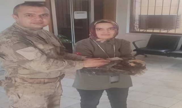 Kırşehir&#039;de yaralı bulunan saz delicesi tedaviye alındı