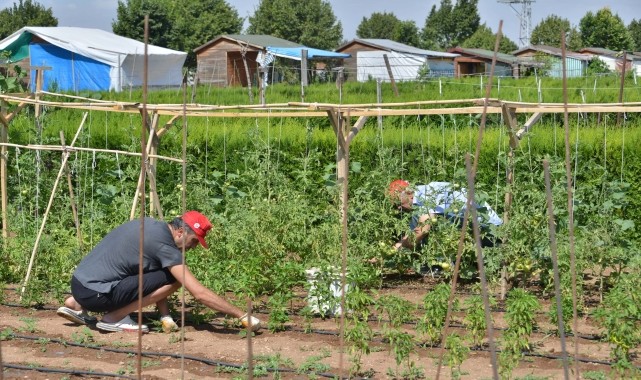Meram&#039;da hobi bahçeleri için başvurular yarın başlayacak