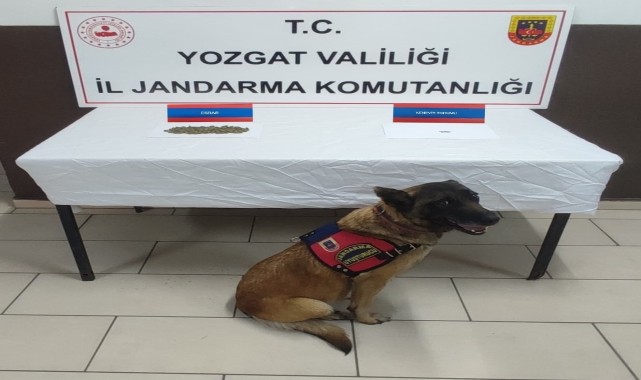 Yozgat&#039;ta uyuşturucu operasyonunda 4 şüpheli yakalandı