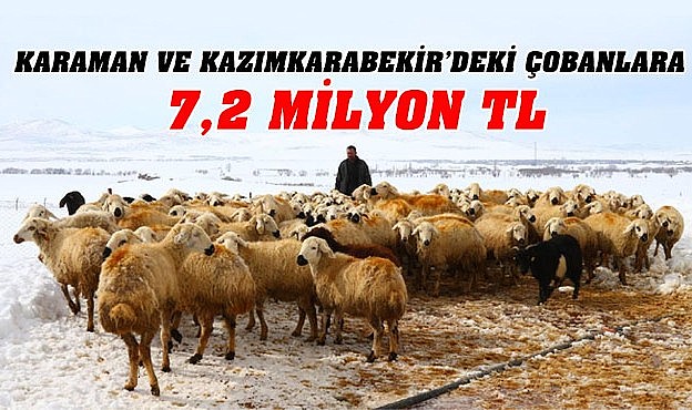 Karaman ve Kazımkarabekir&#039;deki çobanlara 7,2 milyon TL destek!